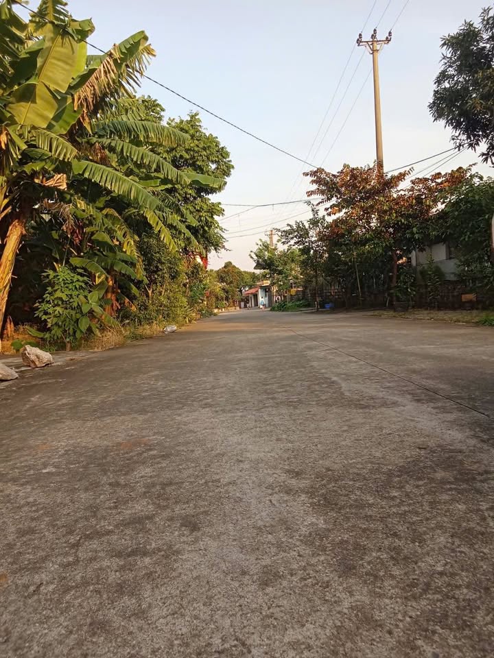 Đất nền tổ 4 phường Tân Bình 125m² giá 1 tỷ - Vị trí đắc địa gần trường học!