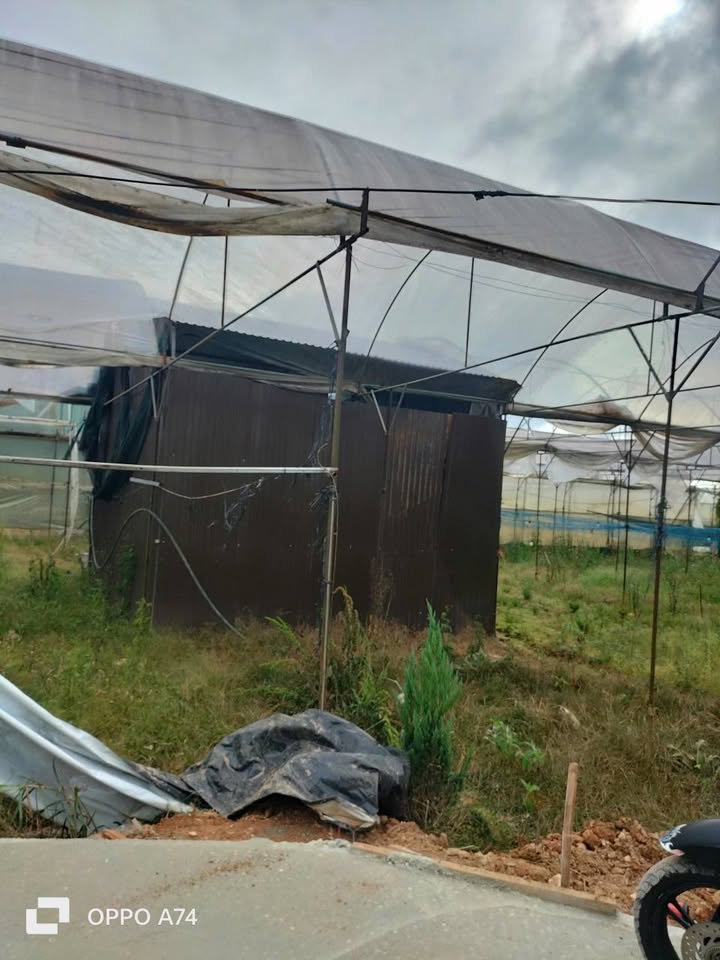 Đất nền phường Lâm Viên, Đà Lạt 89m² giá chỉ 801 triệu - Cơ hội đầu tư hấp dẫn!