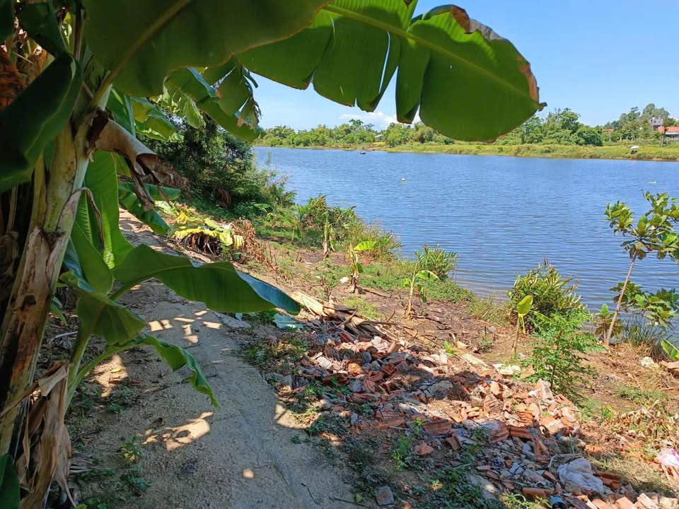 Đất ở Hòa Phước Đà Nẵng 1000m² giá thỏa thuận - Tặng nhà vườn đẹp mắt!