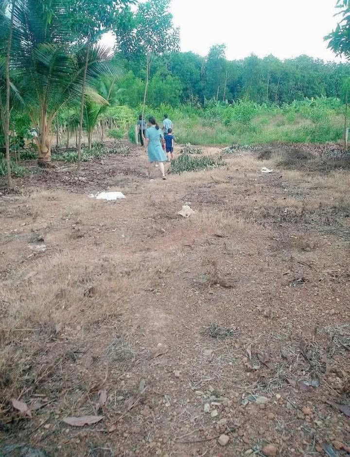 Đất nền 2000m² xã Trị An, Vĩnh Cửu giá 950 triệu - Cơ hội đầu tư hấp dẫn!