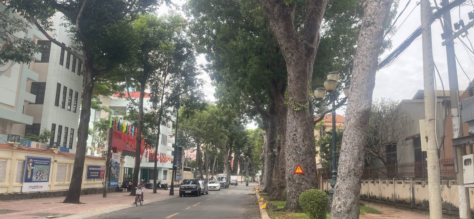 Đất mặt tiền đường Nguyễn Du, Vũng Tàu 296.8m² giá 60 tỷ - Cơ hội đầu tư tuyệt vời!