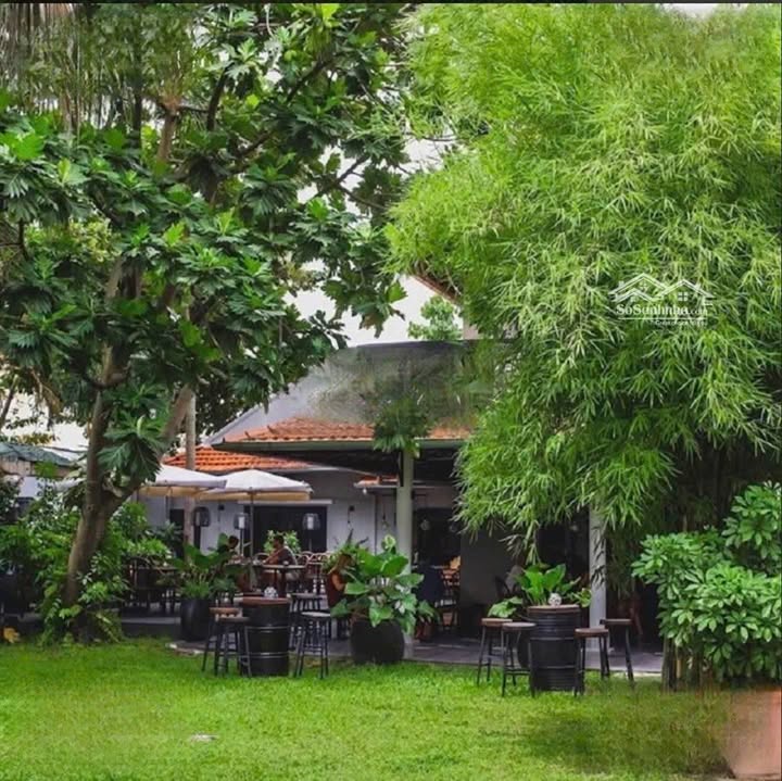 FrontHouse 2 Nguyễn Ư Dĩ, Thảo Điền 1000m² - Sân vườn thoáng mát, sang trọng!