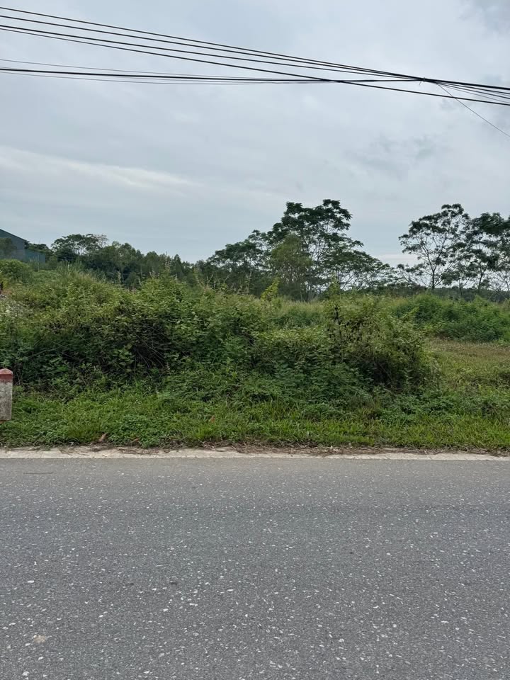 Đất nền Thanh Vinh, Phú Thọ 520m² giá 1.1 tỷ - Đất vuông vắn, pháp lý rõ ràng!