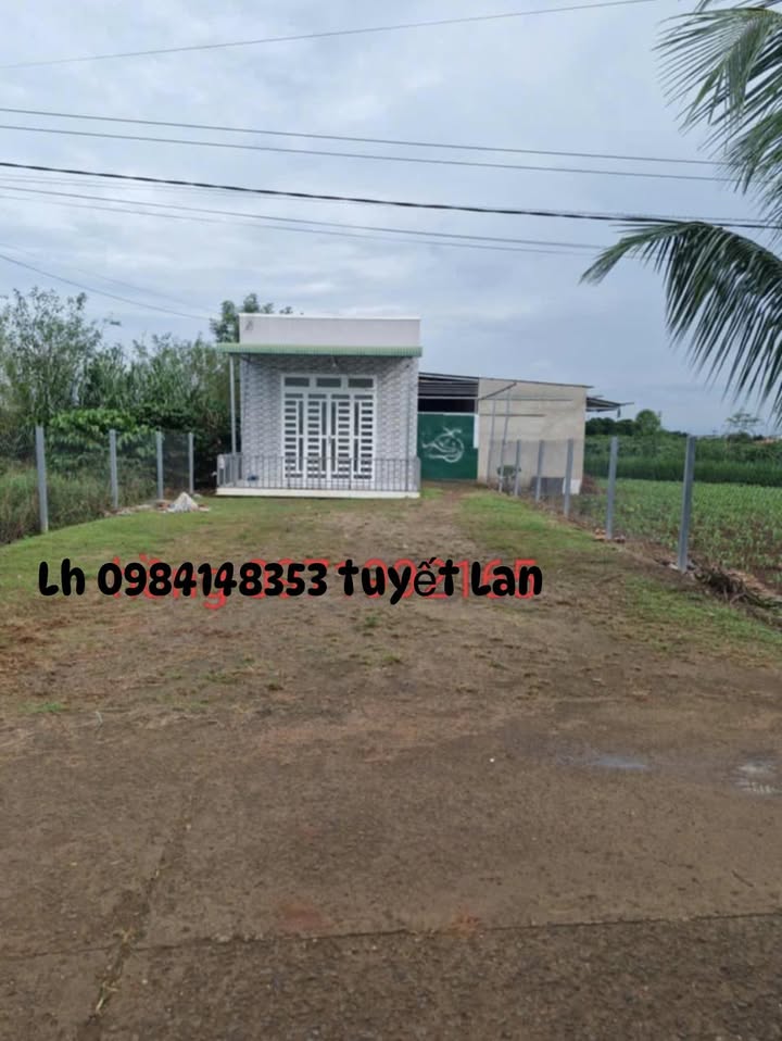 Nhà cấp 4 Tân Hội 784m² giá 2.3 tỷ - Dọn vào ở ngay!