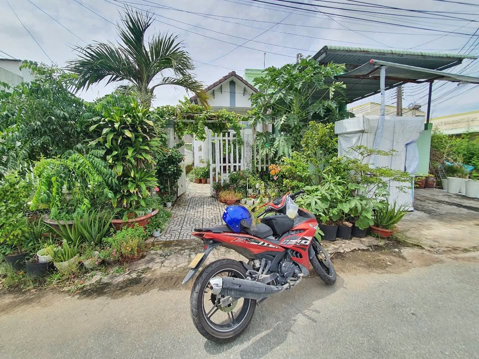 Nhà mái thái bán gấp tại đường Chu Văn An, Trà Vinh 115m² chỉ 1 tỷ - Phù hợp kinh doanh ngay!