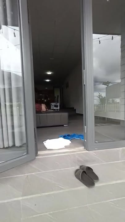 Nhà nguyên căn đường Triệu Việt Vương P4 Đà Lạt 2PN giá 8 triệu - Phù hợp làm homestay!