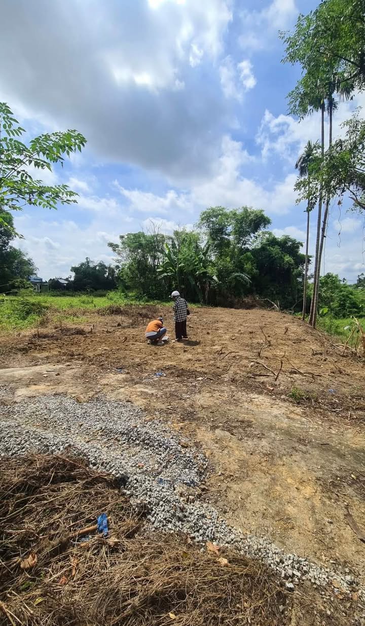 Đất nền Điện Minh Điện Bàn 99m² giá 500 triệu - Sát lộ lớn, giá tốt nhất khu vực!