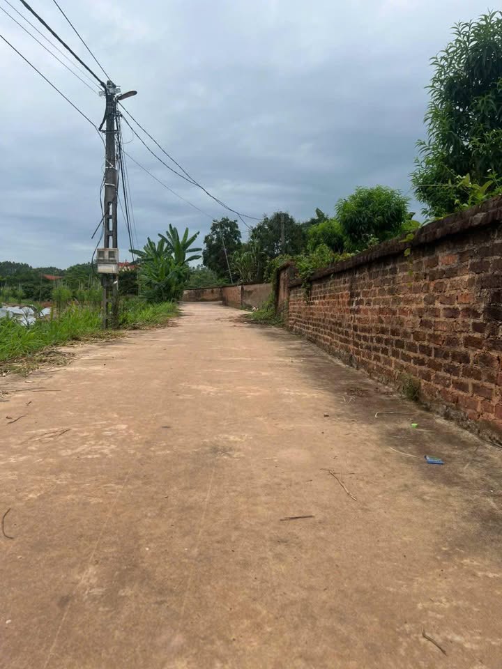 Đất nền Bảo Sơn Lục Nam 153m² chỉ 500 triệu - Sổ hồng chính chủ!