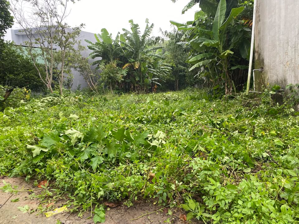 Đất ở Quang Châu, Hòa Vang 200m² - Cơ hội đầu tư hấp dẫn!