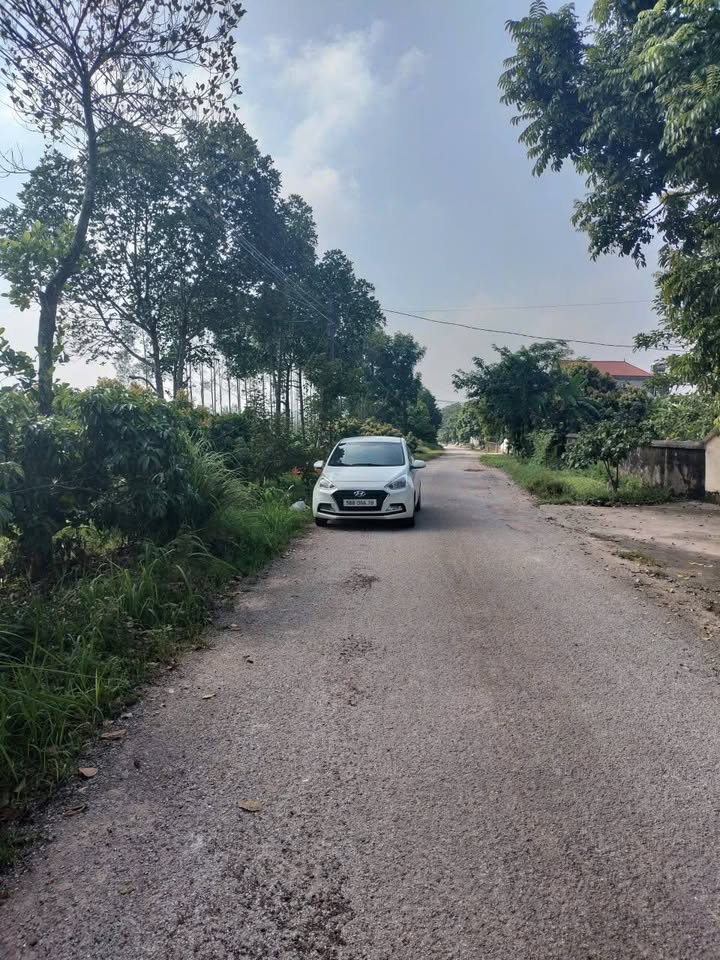 Đất thổ cư Liên Sơn, Tân Yên 170m² - Vị trí đẹp, giá thỏa thuận!