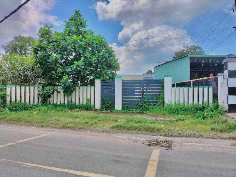 Nhà mặt tiền Tỉnh Lộ 15, Phú Hòa Đông, Củ Chi 598m² giá 6.2 tỷ - Đầu tư sinh lời!