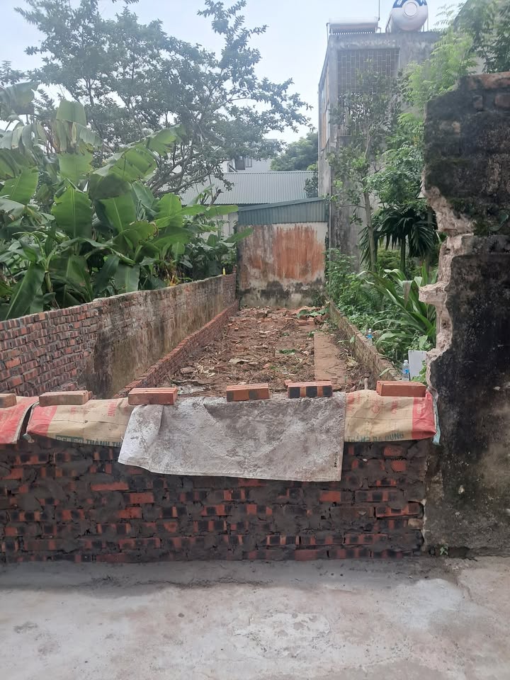 Đất nền Liên Ninh Thanh Trì 50m² giá chỉ 4.5 tỷ - Đầu tư sinh lời ngay!