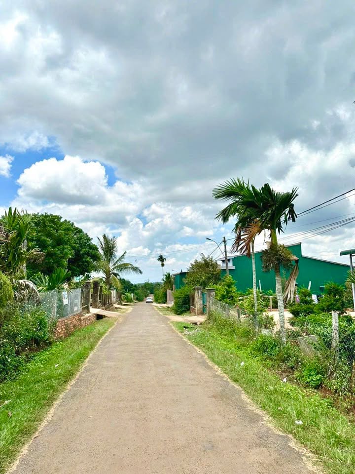 Đất thổ cư 250m² mặt tiền đường X.Eadrong - Giá 380 triệu - Đầu tư sinh lời