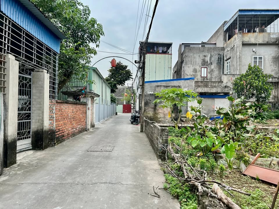 Đất nền Hỷ Thái, An Dương 97m² giá 2 tỷ - Đường rộng ô tô vào tận nơi!