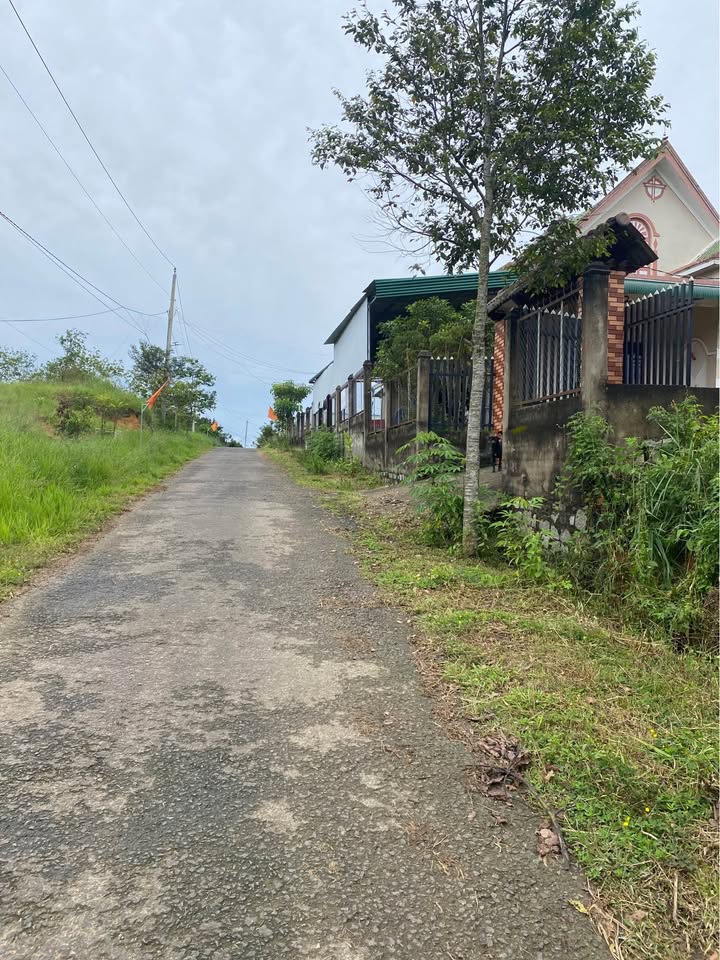 Đất thổ cư Lộc Nam Bảo Lâm 260m² giá chỉ 380 triệu - Cơ hội đầu tư tuyệt vời!