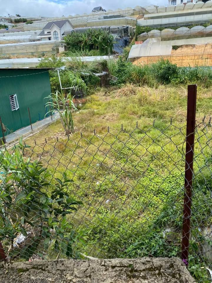 Đất nền phân quyền 3 tại Bình Thới, quận 11, diện tích 100m² - Giá 1.5 tỷ, cơ hội đầu tư tuyệt vời!