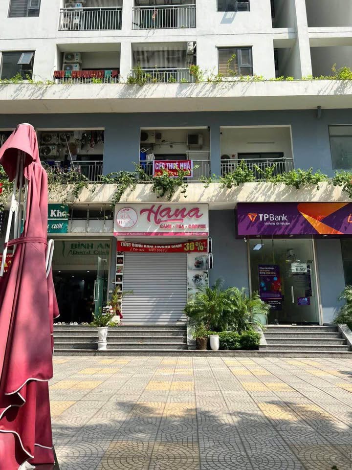 Shophouse Ecohome 3 Đông Ngạc 100m² giá 7 tỷ - Kinh doanh sầm uất ngay tại khu VIP!