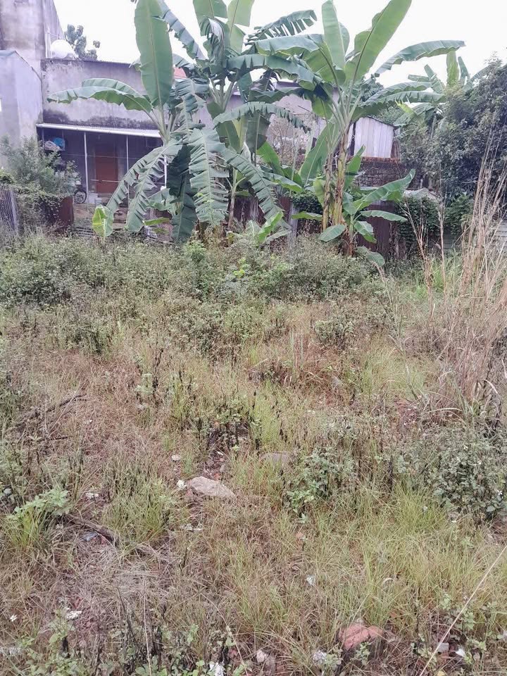 Đất nền Long Bình Biên Hòa 50m² giá chỉ 270 triệu - Cơ hội đầu tư hấp dẫn!