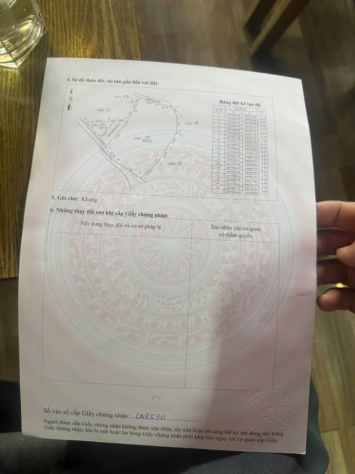 Đất nền Võ Miếu, Thanh Sơn 2000m² giá 1 tỷ - Sổ đỏ chính chủ!