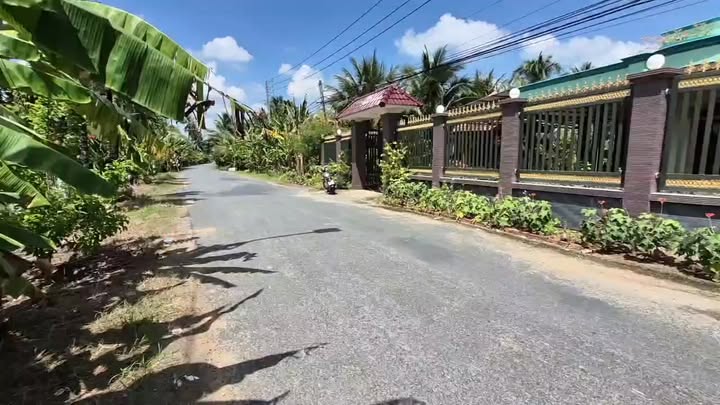 Bán nhà vườn Phú Tân, Châu Thành, Bến Tre 703m² - Giá chỉ 2.5 tỷ!