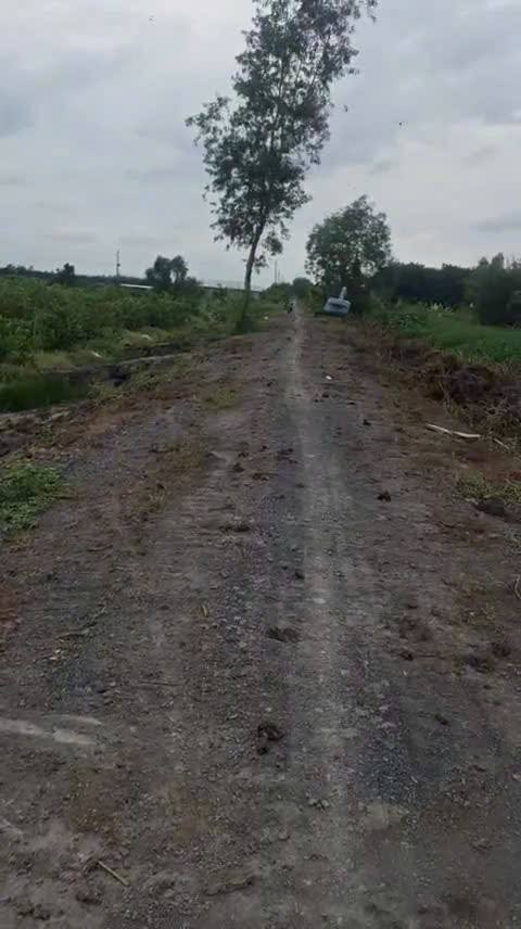 Đất vườn 522m² mặt tiền kênh lớn, giá 450 triệu - Đầu tư ngay hôm nay!