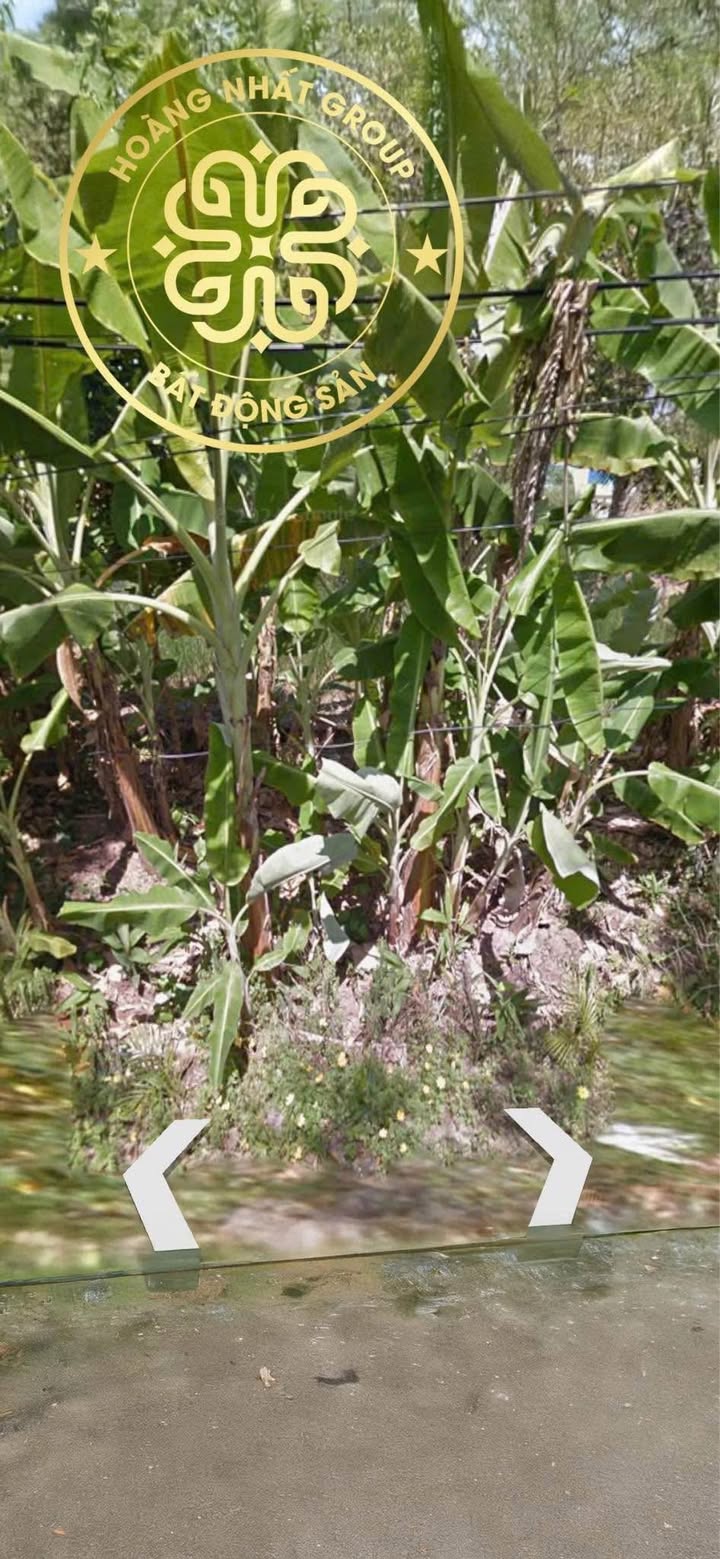 Đất nền 15m x 35.5m tại xã Biển Bạch, Cà Mau - Giá chỉ 900 triệu!