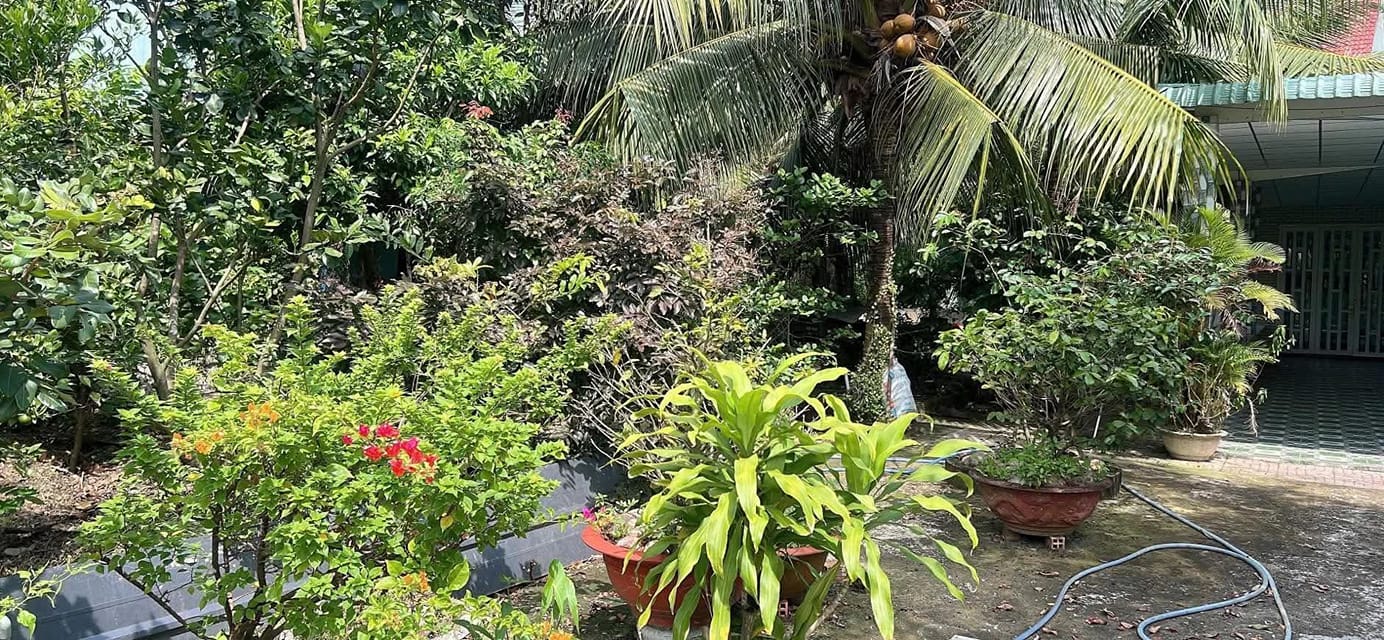 Nhà vườn Tân An, Long An 700m² giá 1.75 tỷ - Không gian nghỉ dưỡng lý tưởng!