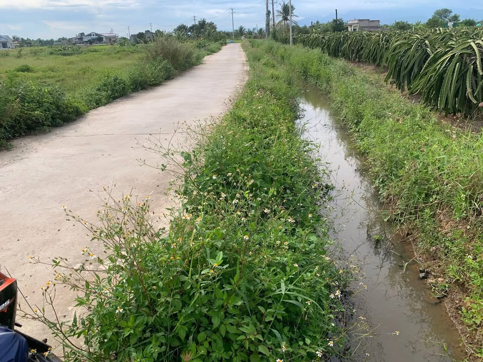 Đất vườn Hàm Thắng Phan Thiết 1500m² giá 525 triệu - Không thể bỏ lỡ!