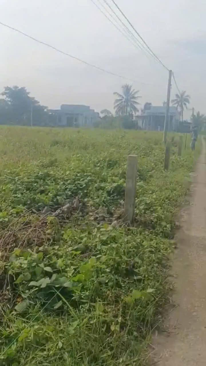 Đất nền 125m² xã Thành Công Gò Công Tây - Giá chỉ 199 triệu VND, sổ đỏ riêng