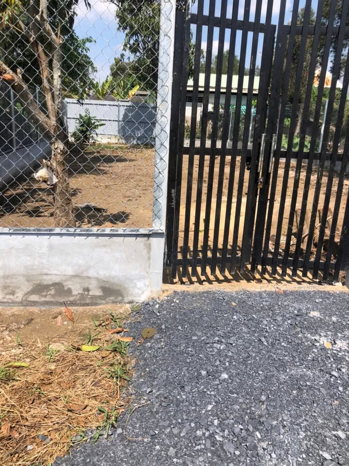 Đất vườn 220m² Nguyễn Cửu Phú, Bình Chánh - Chỉ 1.7 tỷ, chính chủ bán gấp!