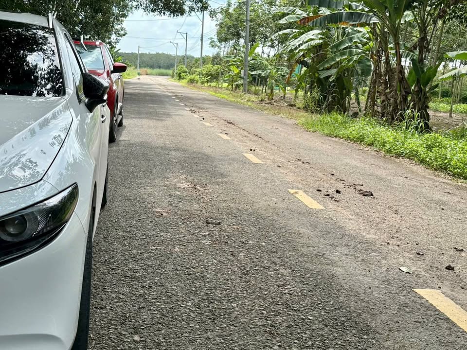 Đất nền Phước Sang Phú Giáo 2ha giá thỏa thuận - Đầu tư sinh lời ngay!