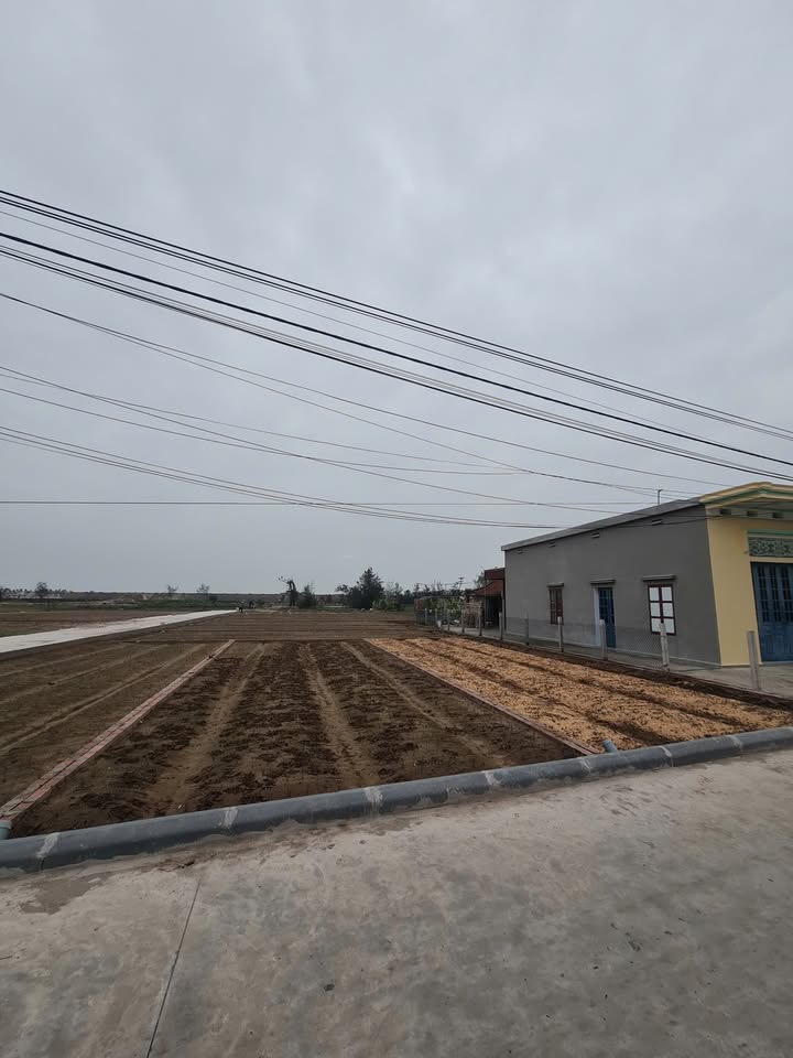 Lô đất mặt biển Thịnh Long - Nam Định 93m² giá 1.4 tỷ - Tiềm năng khai thác cao!