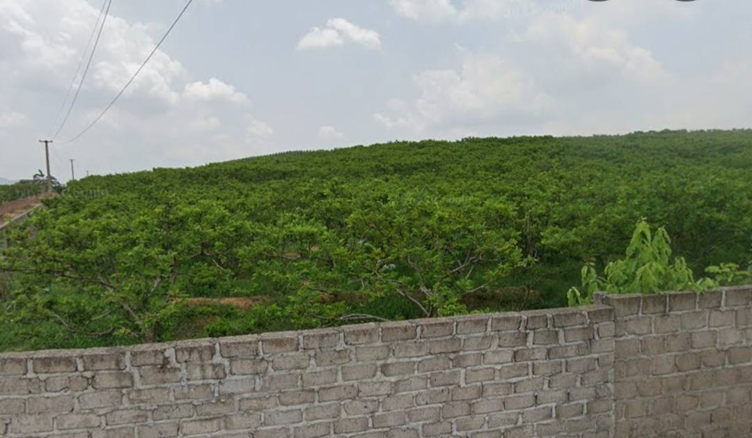 Đất nông nghiệp 12.000m² tại An Sinh, Đông Triều - Cơ hội đầu tư tuyệt vời!