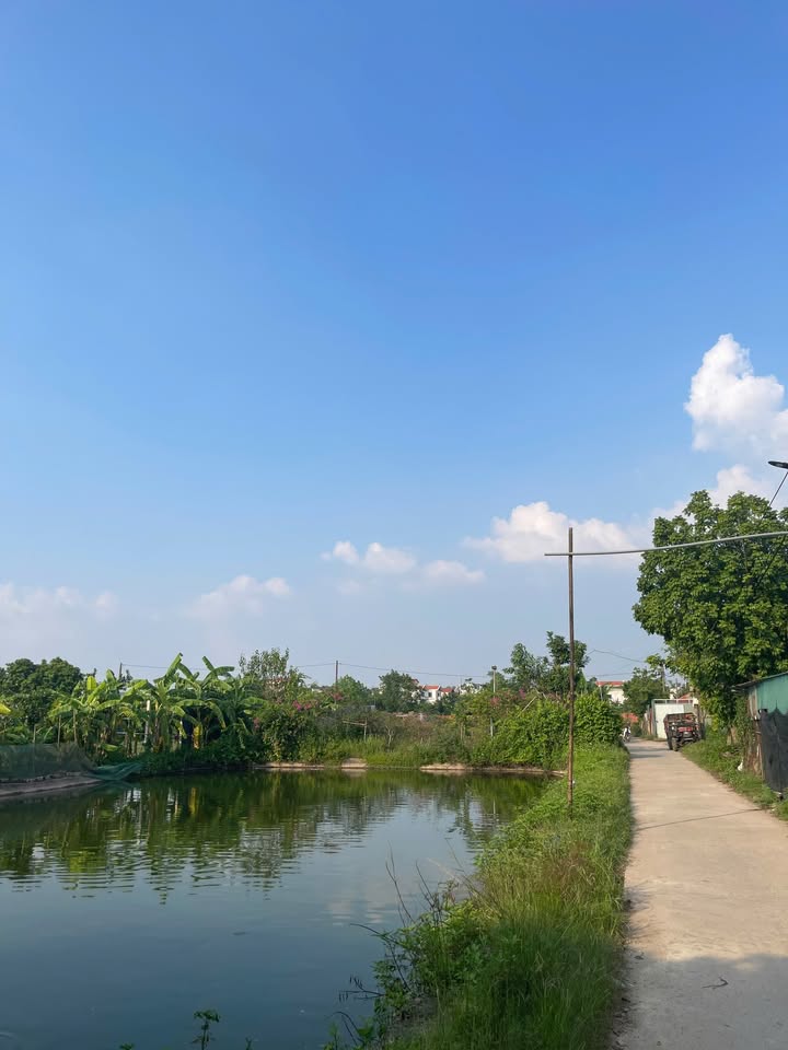 Cho thuê ao hồ câu dịch vụ tại Đông Mỹ, Thanh Trì 4000m² - Đường bê tông ô tô vào tận nơi!