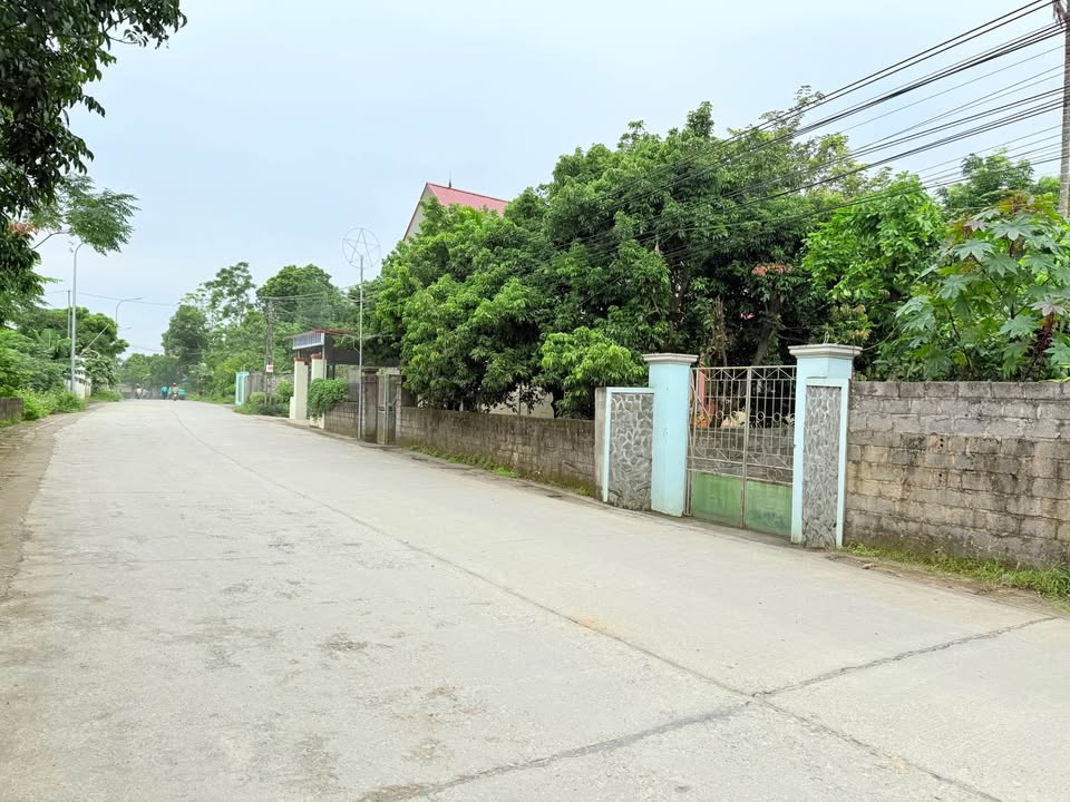 Đất nền mặt đường trục chính xã Cư Yên - Lương Sơn - Hòa Bình 443,8m² - Cơ hội đầu tư hiếm có!