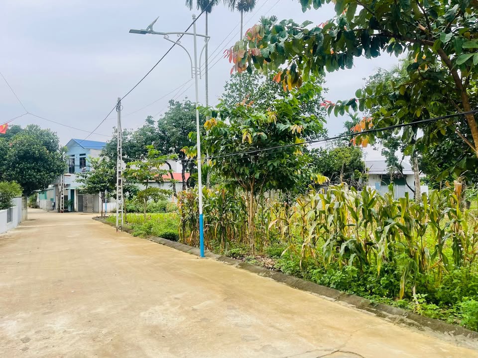 Đất nền 173m² tại Cố Thổ - Hoà Sơn - Lương Sơn giá 2 tỷ - Vị trí đắc địa, dễ dàng di chuyển!