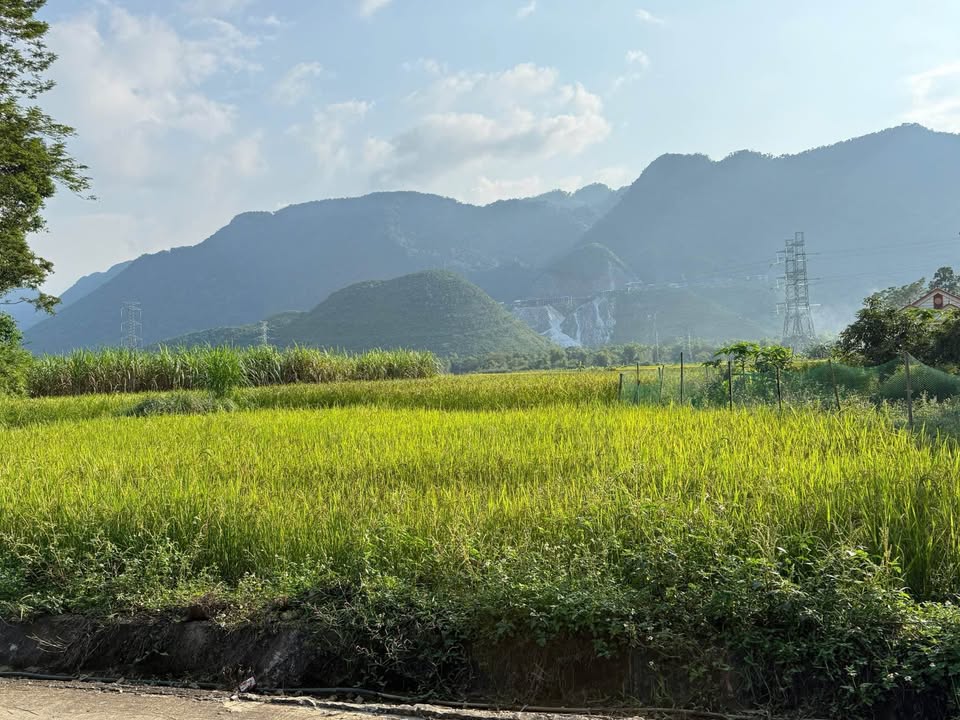 Đất nền 710m² Phú Cường - Giá chỉ 400 triệu - View cánh đồng tuyệt đẹp!