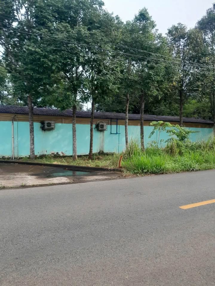 Đất mặt tiền đường nhựa Xà Bang Châu Đức 10.000m² giá 40 tỷ - Đầu tư sinh lời ngay!