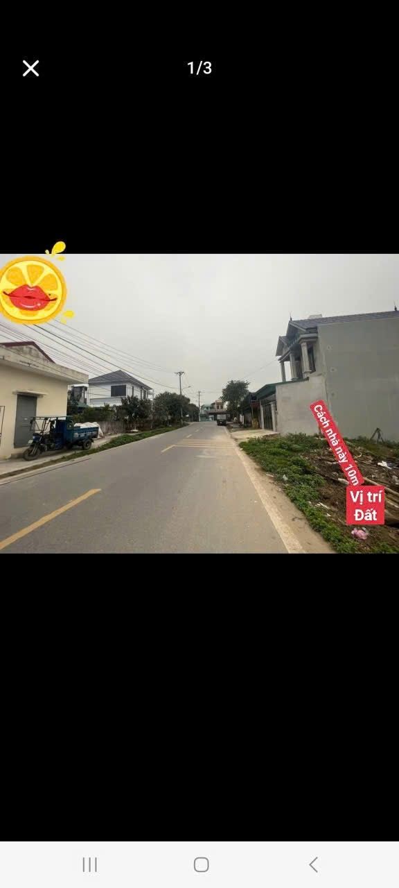 Đất mặt đường trục chính Ninh Phúc 100m² giá 2 tỷ - Vị trí kinh doanh đắc địa!