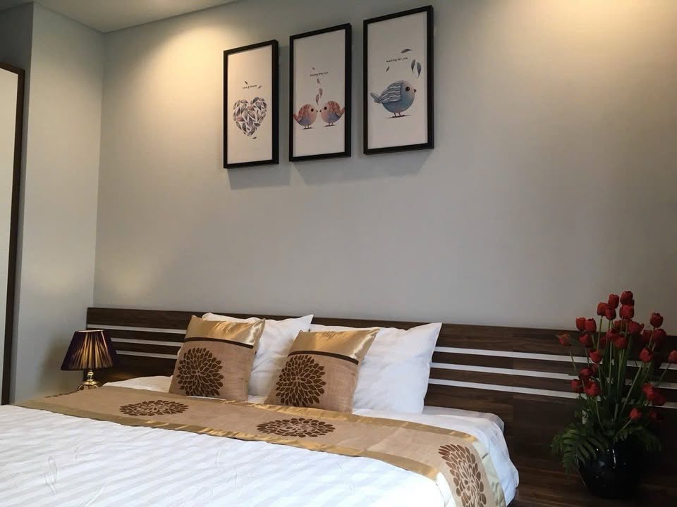 Căn hộ chung cư Bim Hạ Long 1 ngủ giá 5 triệu - Full nội thất tiện nghi