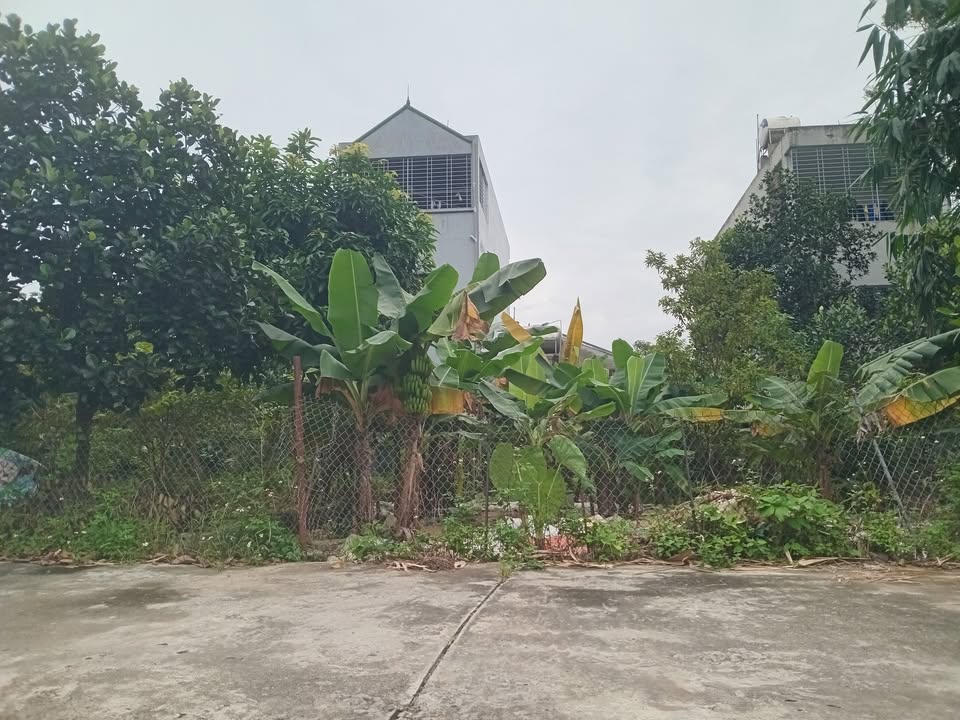 Đất nền Thủy Xuân Tiên 80m² giá 2 tỷ - Cơ hội đầu tư hấp dẫn!