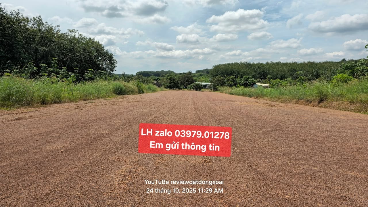 Đất nền Đường Xuyên Tâm, Đồng Phú 125m² - Giá hời chỉ từ 4xx triệu!