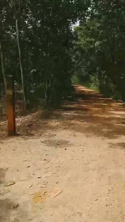 Đất nền Hưng Long Chơn Thành 6000m² giá thỏa thuận - Cơ hội đầu tư hấp dẫn!