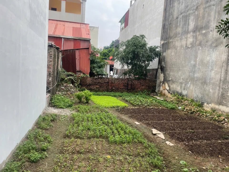 Đất nền Vĩnh Ngọc 58,5m² - Giá đầu tư hấp dẫn ngay ngã tư Chợ Ngọc Chi!