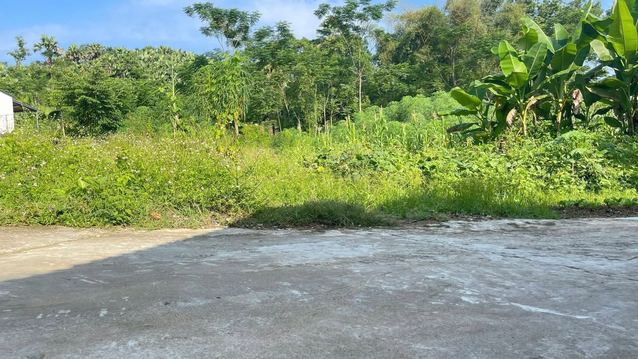 Đất nền chính chủ xã Bình Yên, Thái Nguyên 150m² - Giá chỉ 350 triệu