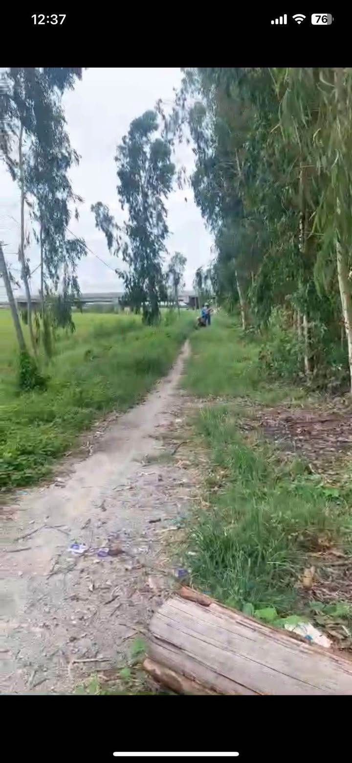 Đất nền 50 công xã Vĩnh Hanh, Châu Thành, An Giang - Giá chỉ 1xx triệu/công!