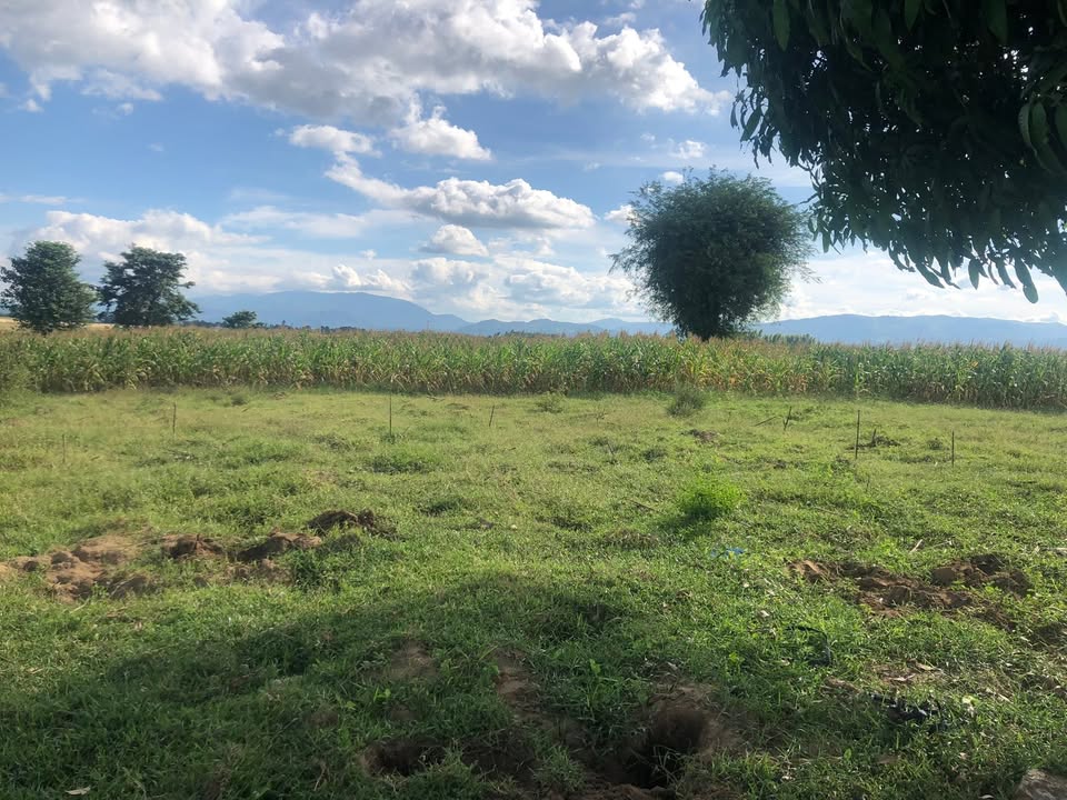 Đất cho thuê 5ha tại xã Ia Tul, Gia Lai - Gần cầu Bến Mộng 1km