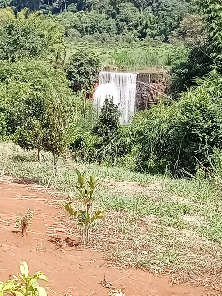 Đất nền Đắk Ngo Tuy Đức 70.000m² giá 3.36 tỷ - Đầu tư sinh lời ngay!