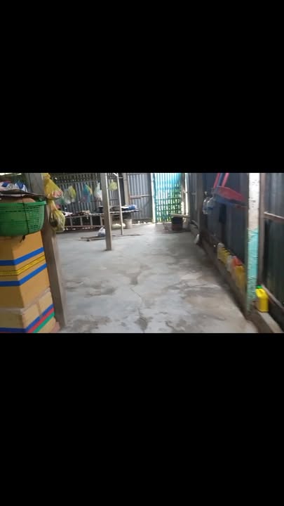 Nhà mặt tiền Tỉnh Lộ 877, Long Vĩnh, 455m² giá 1.8 tỷ - Cơ hội đầu tư sinh lời!