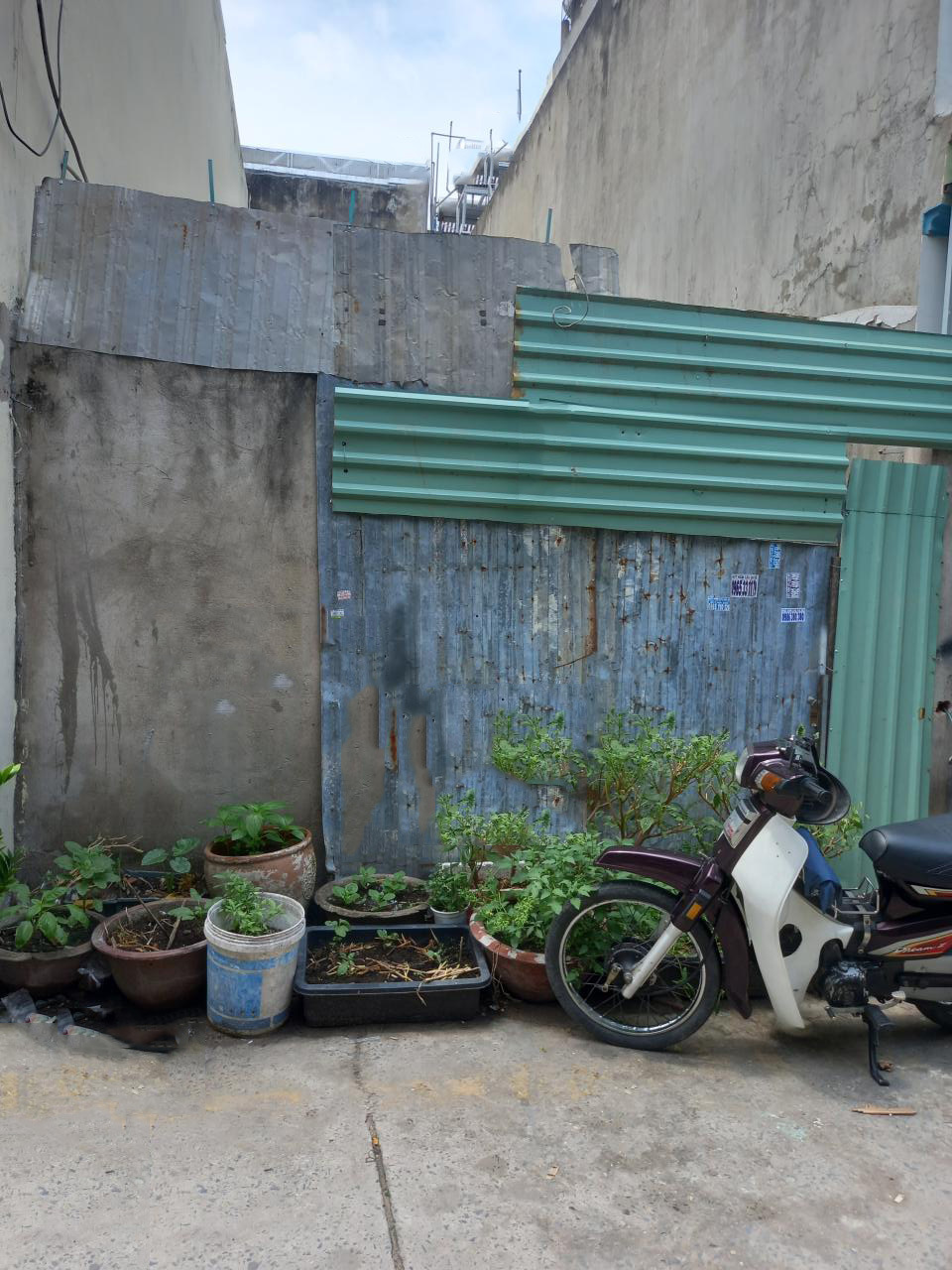 Đất nở hậu Trần Thị Hè, Q12 - 56m² chỉ 3.5 tỷ, hướng Bắc - Đầu tư sinh lời!